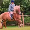 beverleycollins987 - @beverleycollins987 - TikTok
