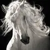 Beverly Connor - @beverlyconnor6 - TikTok
