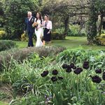 Beverley Cottrell - @bevcottrell - Instagram