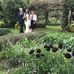 Beverley Cottrell - Facebook