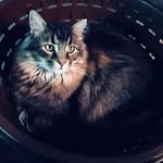 Beverly Cowan Kring - @cowankring - Instagram