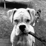 Beverley Cox - Facebook