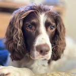 Beverley Cox - @elliebuttons9 - Instagram