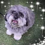Beverley Craig - @tillybear9 - Instagram