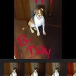 Beverly Crane-Finch - @beverlycranefinch - Instagram