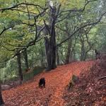 Beverley Crook - @beverley_crook - Instagram