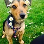 Beverley Waudby Crooks - @beverleycrooks - Instagram