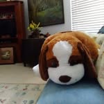 Beverly Crosby - @beverly_crosby1 - Instagram