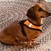 Beverly Cunningham - Facebook