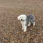 Bev Cutler - @beverley.cutler - Instagram