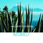 Beverley Daley - @naturally.naturally.bae - Instagram