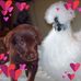 Beverley Dalton - Facebook