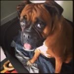 Beverley Daniels - @bev33912012 - Instagram