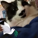 Beverly Daugherty - @beverly.daugherty.716 - Instagram