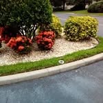 Beverly Daugherty - @beverly.daugherty.984 - Instagram