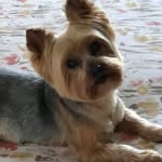 Beverly Ann Davey - @bevdavey2024 - Instagram
