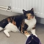 Beverley Davies - @beverleydavies12 - Instagram