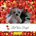 Beverley Davies - Facebook