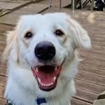 Beverley Davies Argyle - @storiesofstorm_108 - Instagram