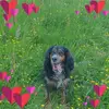 beverleydavies469 - @beverleydavies469 - TikTok
