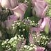 Beverly Denton - Facebook