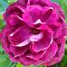 Bev Devaus - Facebook