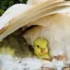 Beverley Devine - @beverley.devine - TikTok