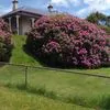 Beverley Dillon - @beverley.dillon87 - TikTok
