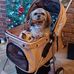 Beverley Dixon - Facebook