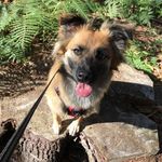 Beverley Dixon - @beverley.dixon.923 - Instagram