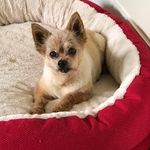 Beverley Dixon - @brd_68 - Instagram