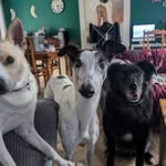 Beverley Dodds - @bevdodds23 - Instagram