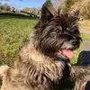 doddsbeverley - @doddsbeverley2 - TikTok