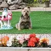 Beverley Doran - @beverley.doran - TikTok