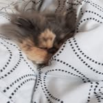 Beverley doran - @doranbeverley - Instagram