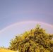 Beverly Doran - Facebook