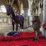 Beverley Doughty - @bevdou - Instagram