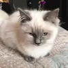 Beverley Douglas - @beverley.douglas - TikTok