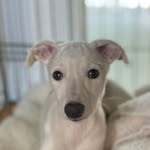 Beverley Downey - @downey.beverley - Instagram