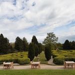 Beverley Dowling - @beverley.1960 - Instagram
