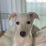 Beverley Downey - @downey.beverley - Instagram