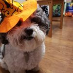 Beverly Downey - @downeybev06 - Instagram