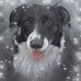 Beverley Doyle - Facebook