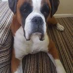 Beverley Doyle - Facebook