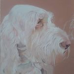 Bev Drewery - @beverleydrewery1066 - Instagram