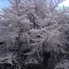 Beverley Drew - @2180469146 - TikTok