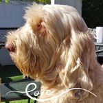 Beverley Drewery - @drewerybeverley - Instagram