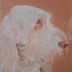Beverley Drewery - @beverley.drewery - Instagram