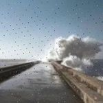 Niko Schiffner - @beverleydrewes - Instagram