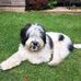 Beverley Driscoll - Facebook